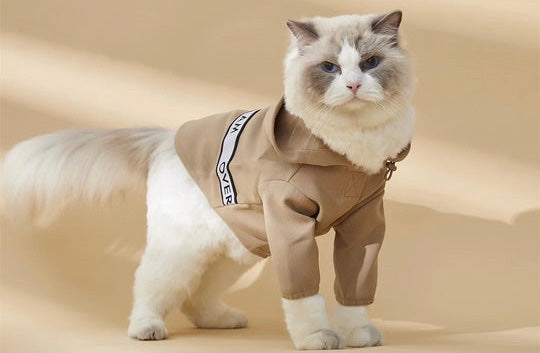 Cat Wear