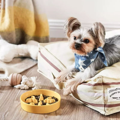 Le Tauci_Pet Products