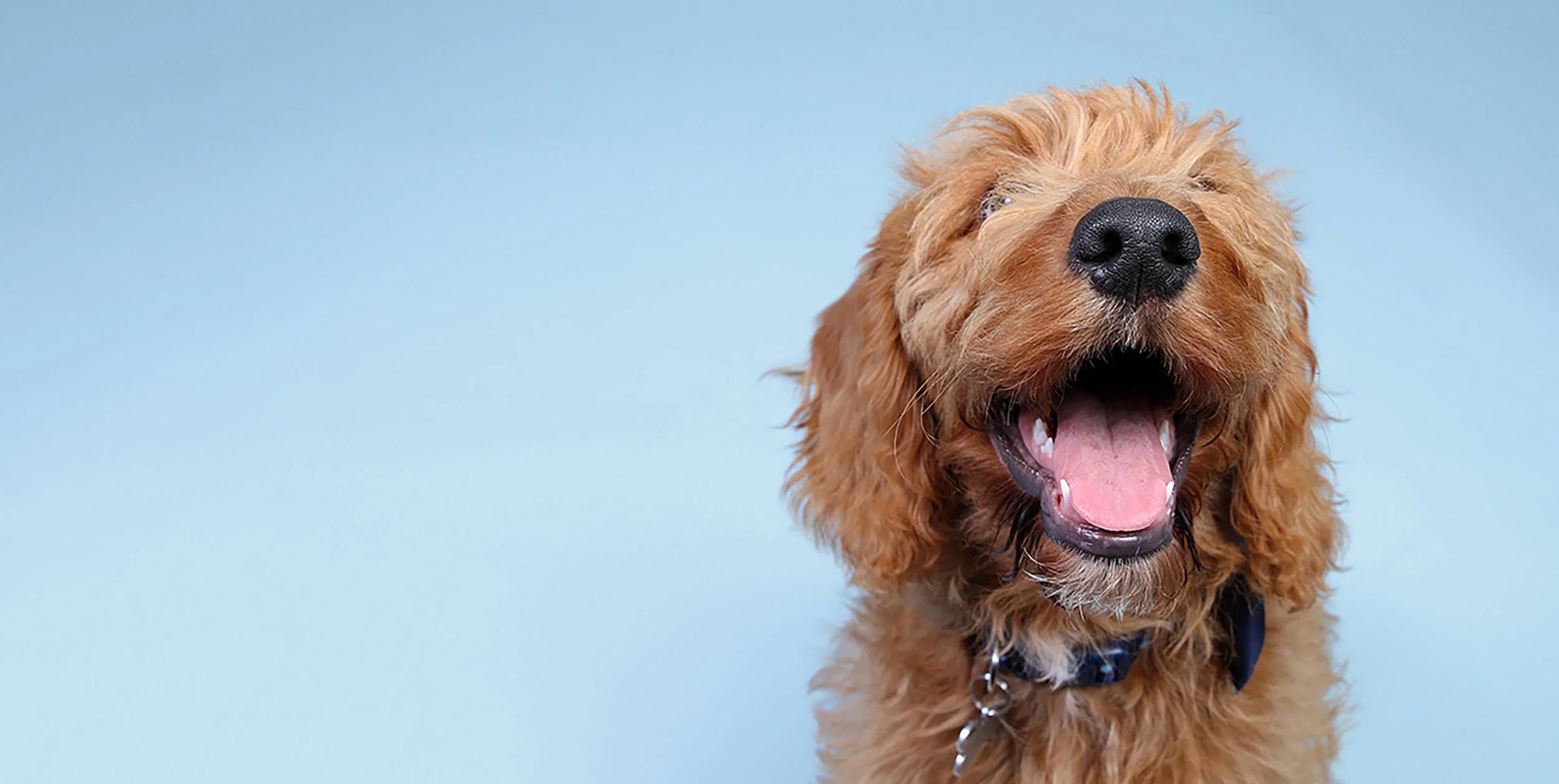 The Vet Equation