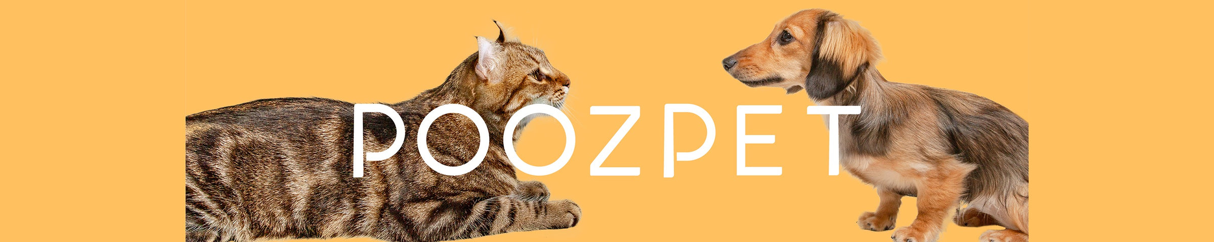 POOZPET