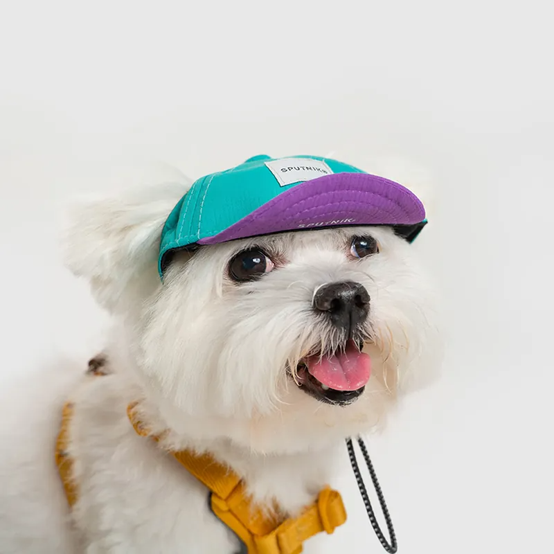 Pet baseball cap sales