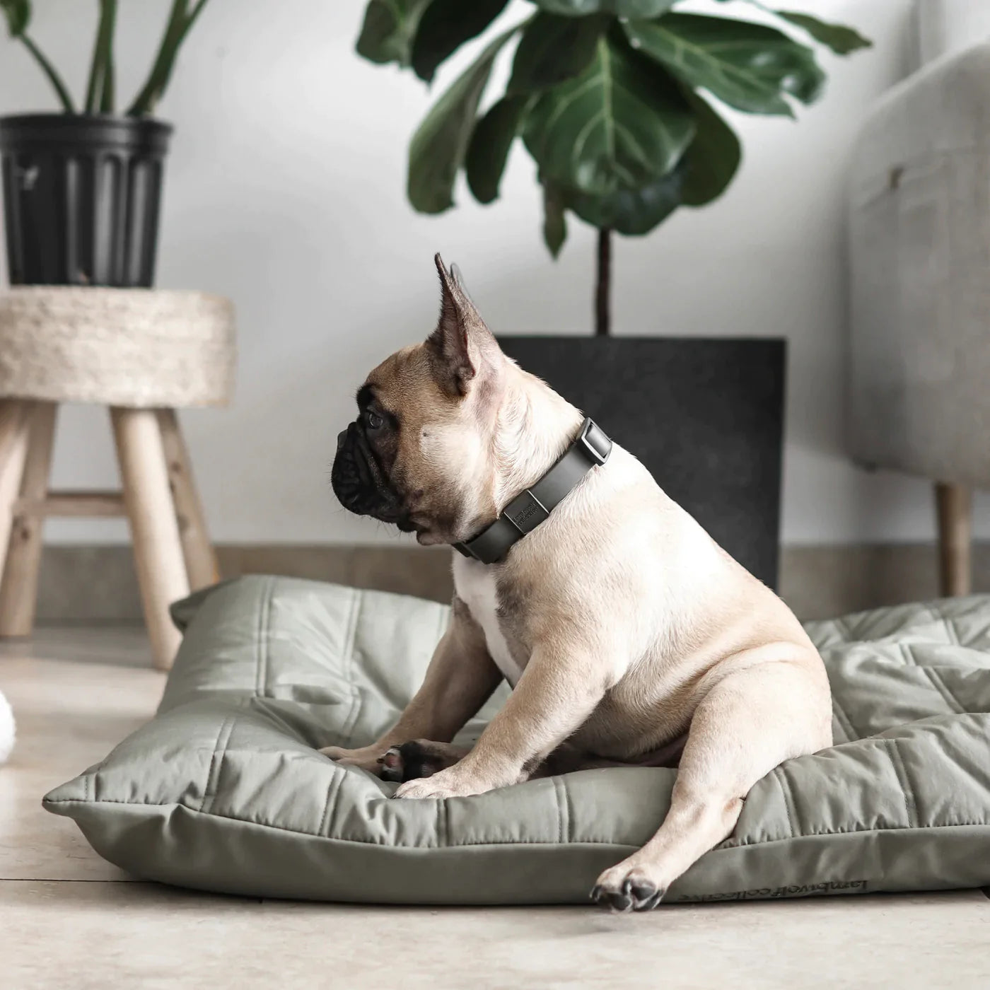 MAATIN low rise reversible dog bed
