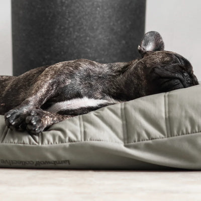 MAATIN low rise reversible dog bed
