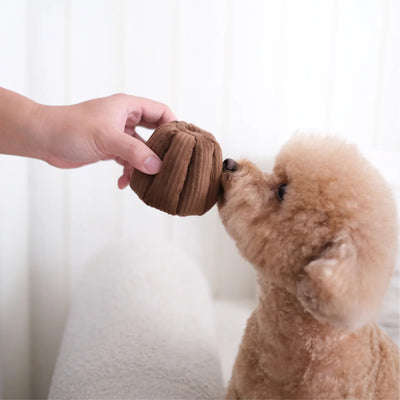 CANELE Squeaky + Snuffle Toy