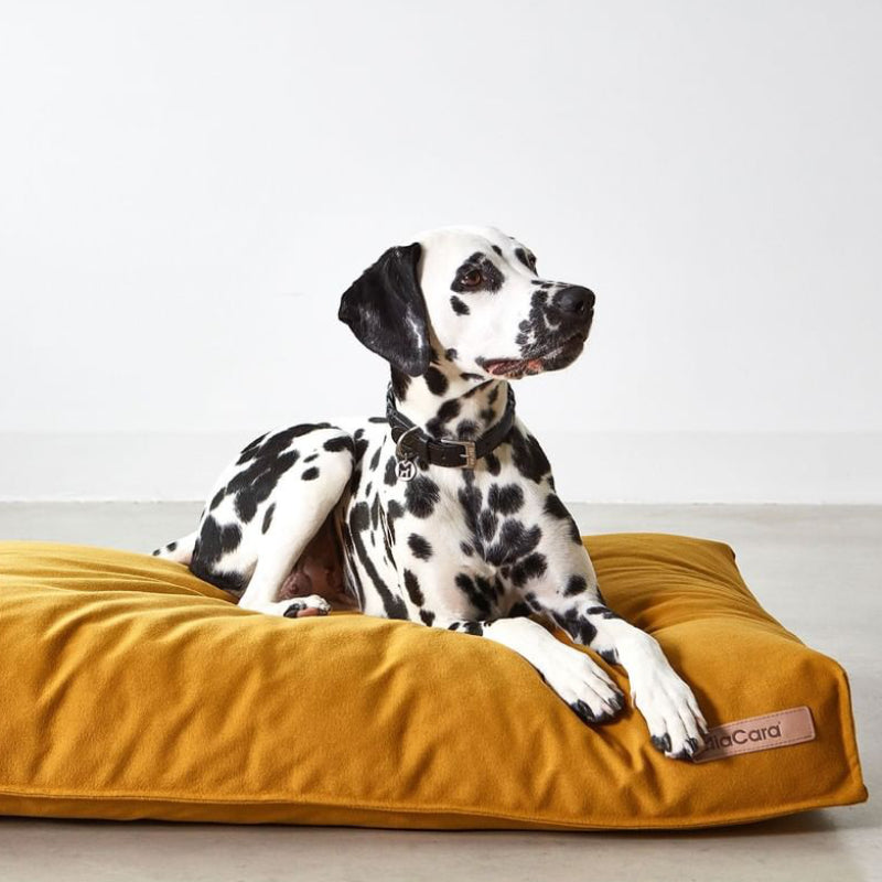 【PRE-ORDER】Stella Dog Cushion