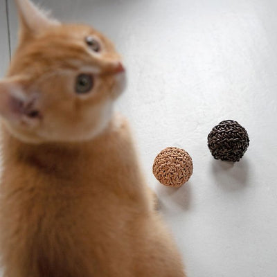 Filo Cat Toy Ball