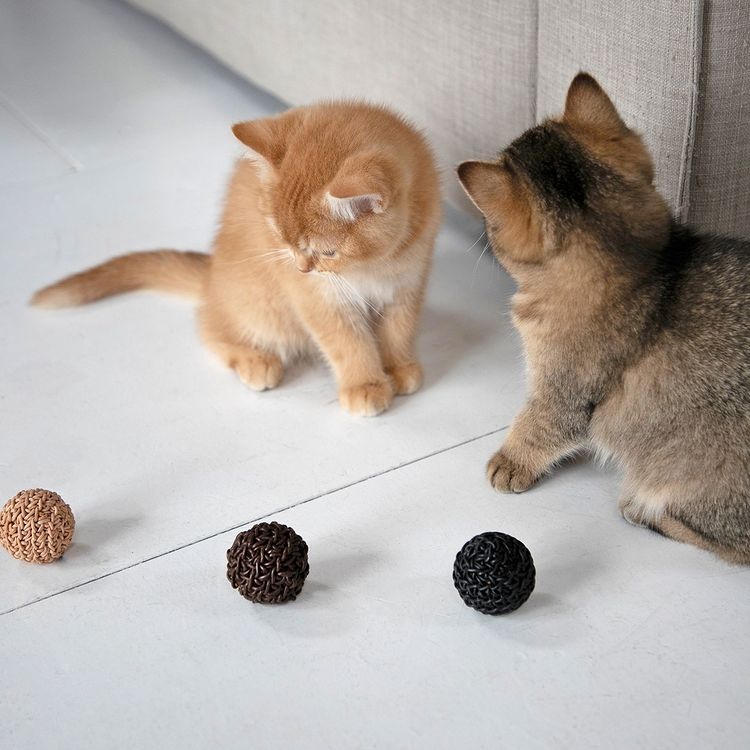 Filo Cat Toy Ball
