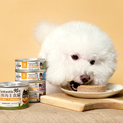Complete Meal Can for Dogs