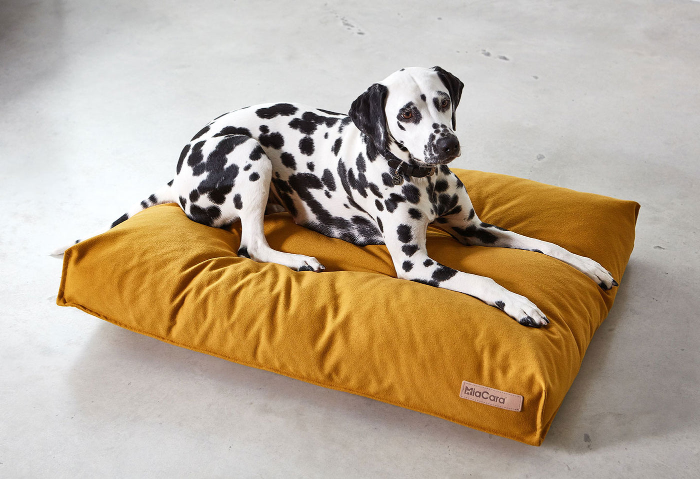 【PRE-ORDER】Stella Dog Cushion