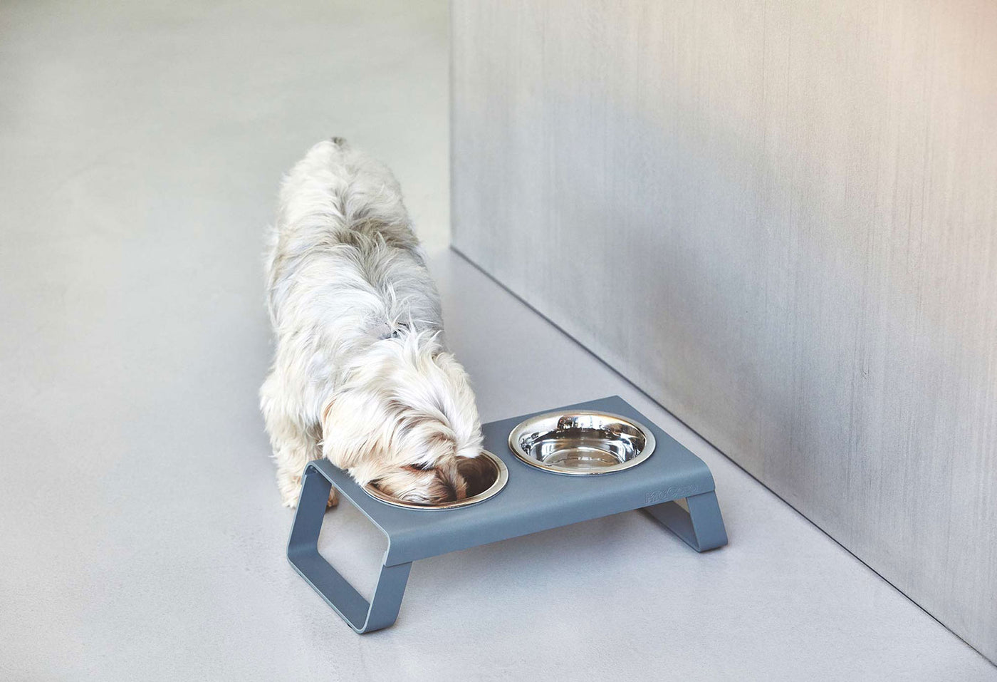 【PRE-ORDER】Desco Dog Feeder (aluminum)