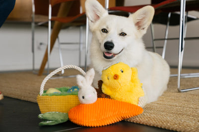 Dog Plush Toy - Hippity Hoppity Collection