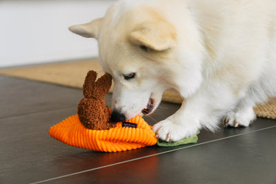 Dog Plush Toy - Hippity Hoppity Collection