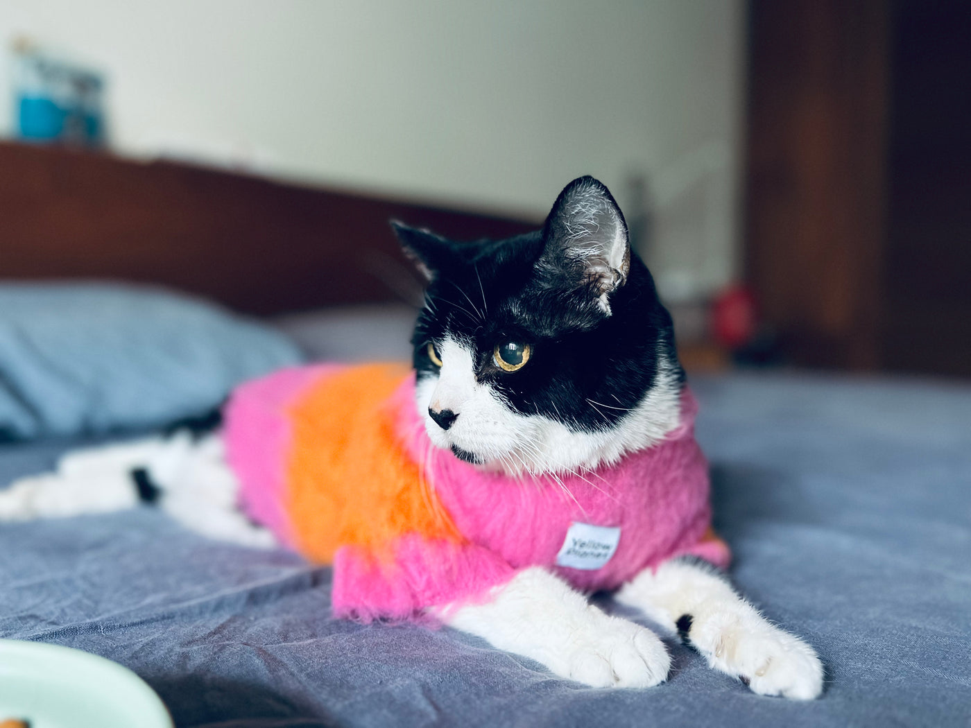 Fuwa Fuwa Pet Sweater
