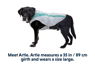 Swamp Cooler™ Cooling Pet Vest