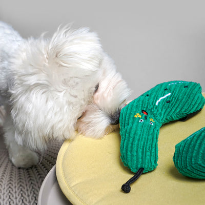 Cucumber  - Nose Work Toy
