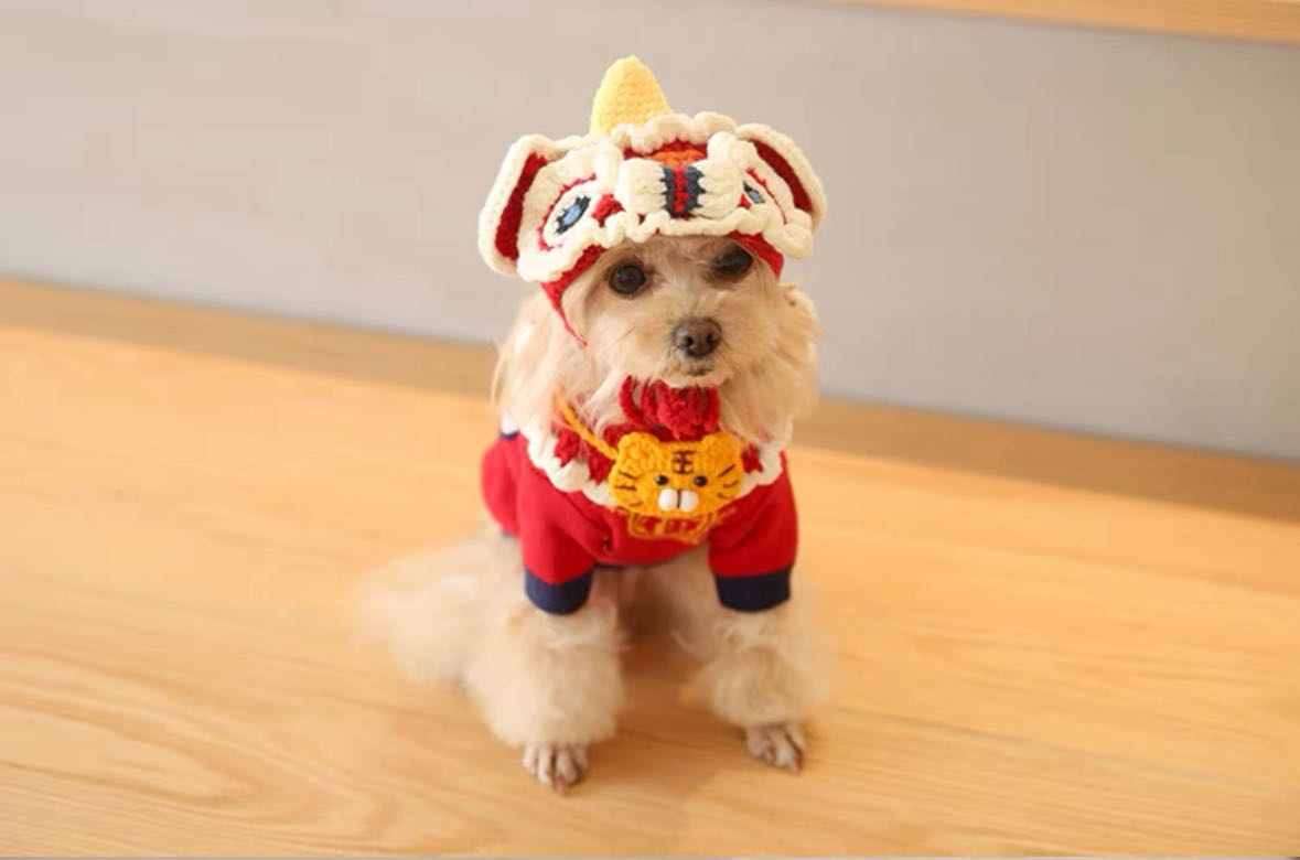 HOT Tang Suit Chinese New Year Dog Clothes Dog Robe Large