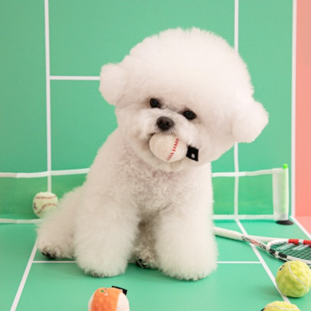 Mini Sports Ball Dog Toy
