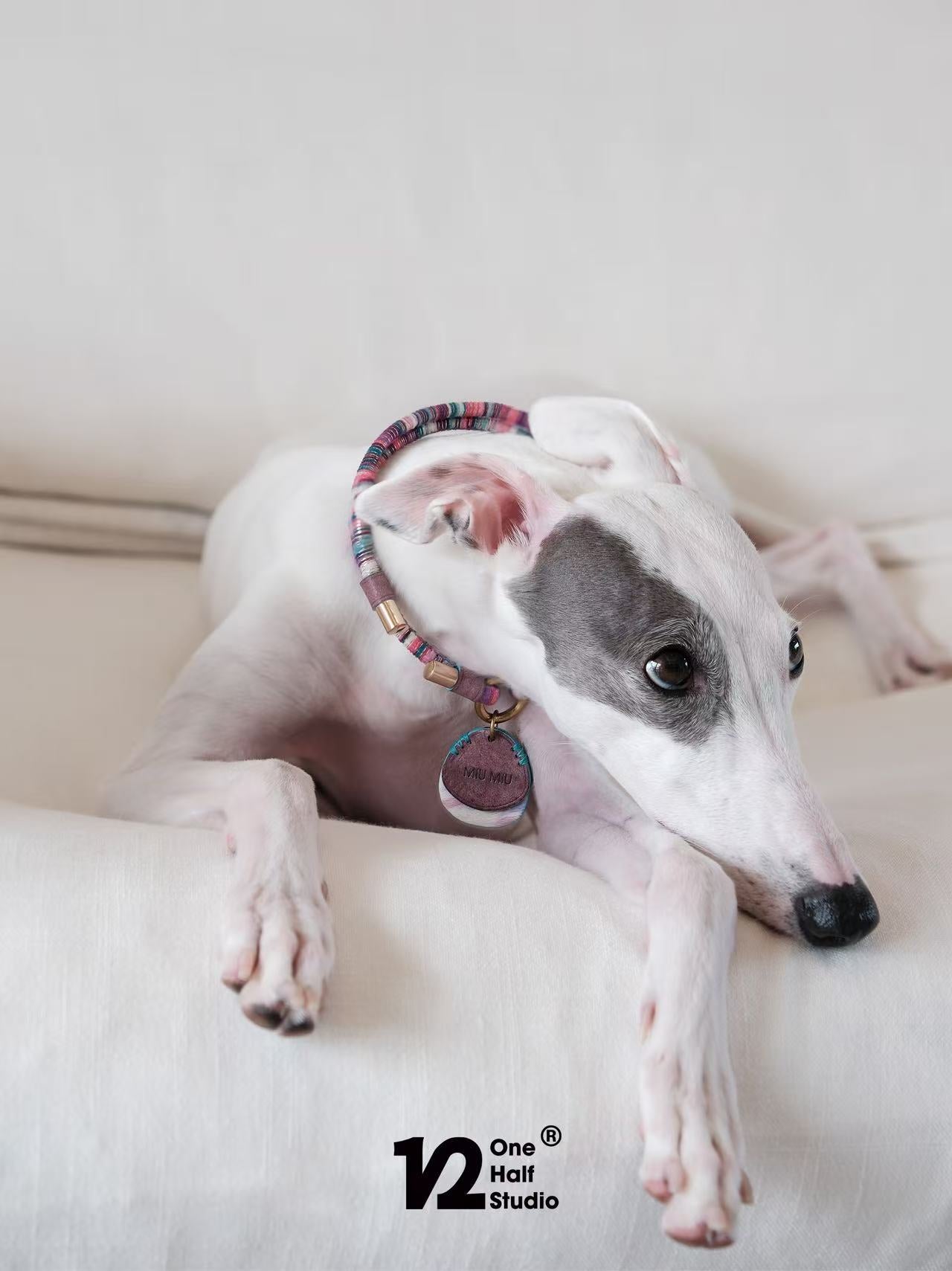 Pet Necklace with ID Tag