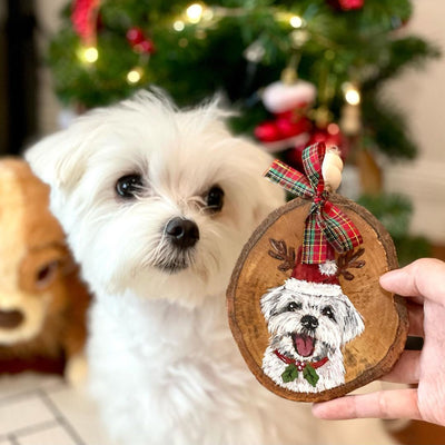 Customized Pet Portrait - Christmas Ornaments