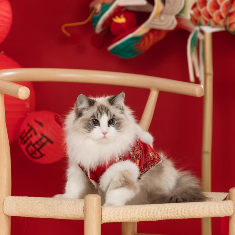 CNY Red Fluffy Tang Vest