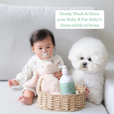 Dish, Toy & Clothing Soap - Baby & Fur Baby Safe