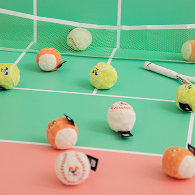 Mini Sports Ball Dog Toy