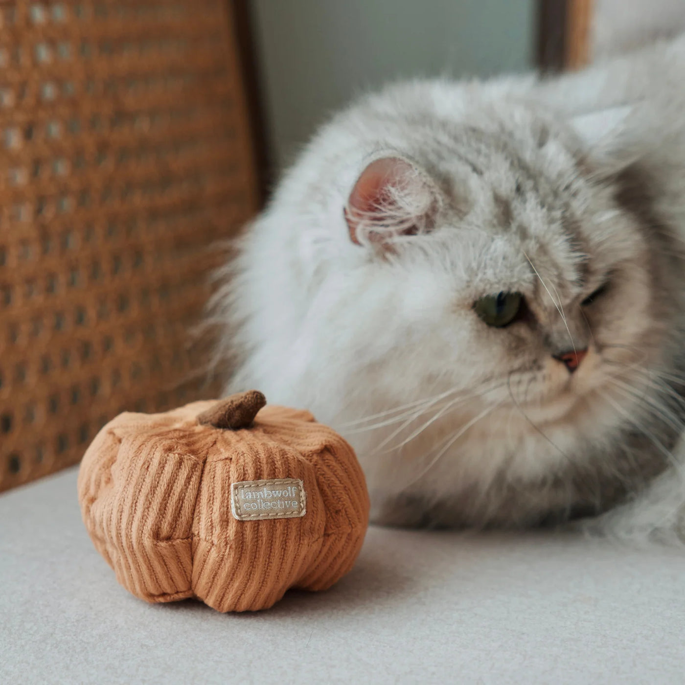 KITTY VEGGIE SET - tinkly + catnip