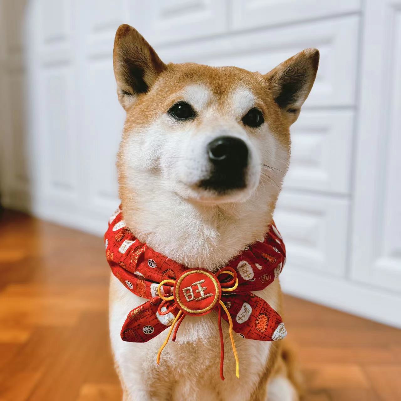 CNY Woof Red Necklace Bib