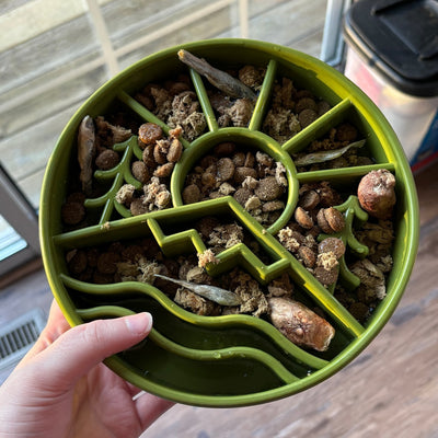 Great Outdoor Slow Feeder Bowl