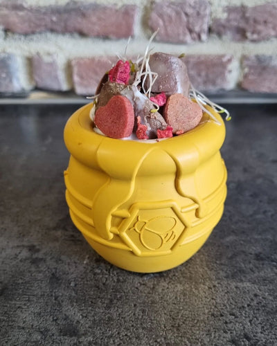 Honey Pot - Treat Dispenser & Enrichment Toy