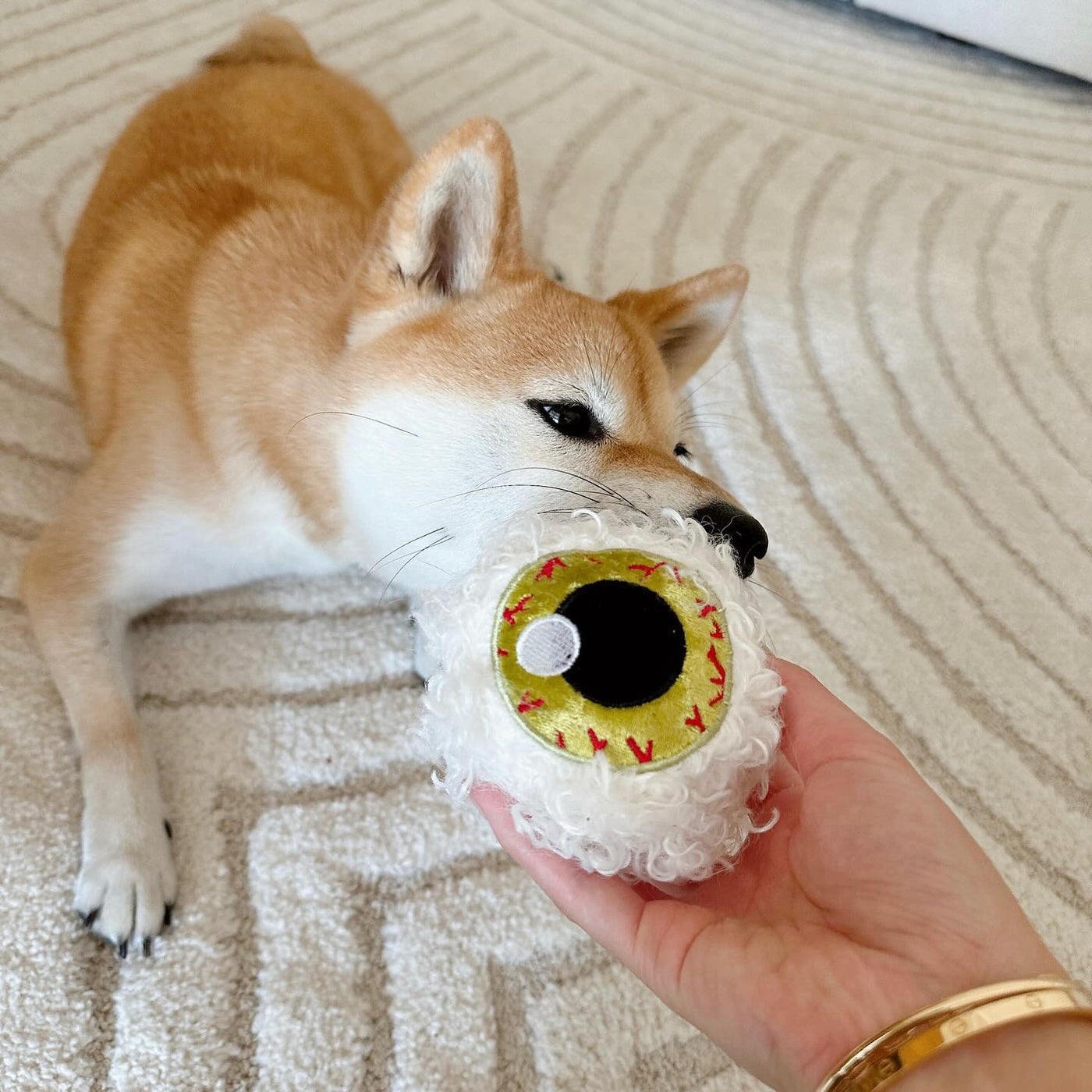 Spooky Eye - Ball Toy