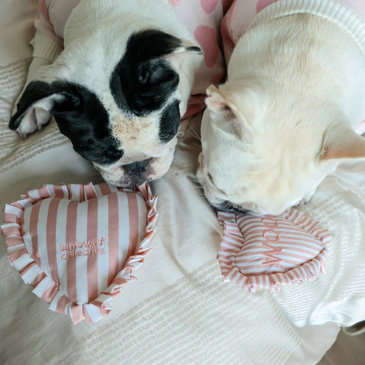 Sweetheart - cuddly + squeaky toy