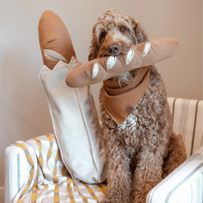 GIANT BAGUETTE - Enrichment Pockets Toy