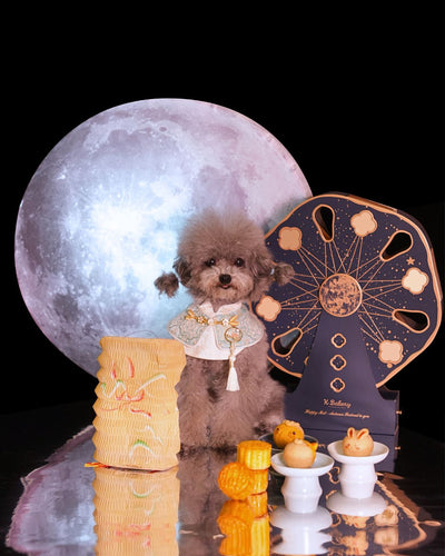 【PRE-ORDER】K Bakery Deluxe Mooncake Gift Box