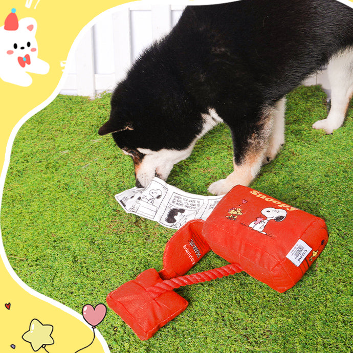 Snoopy Mailbox Toy