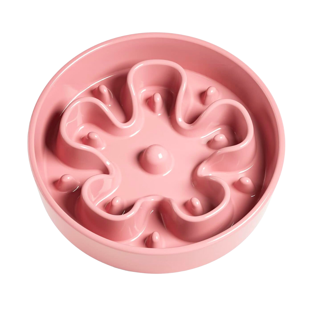 Le Tauci_Ceramic Slow Feeder_Pink Flower
