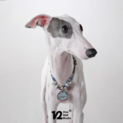Pet Necklace with ID Tag