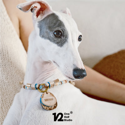 Pet Necklace with ID Tag