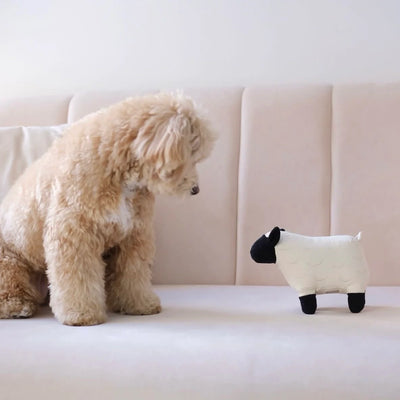 Dolly Sheep - Squeaky Dog Toy