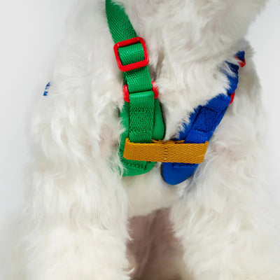 10TH YEAR - Harness