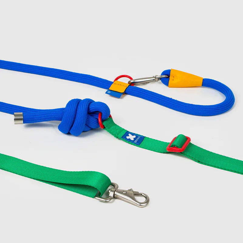 10TH YEAR - Leash