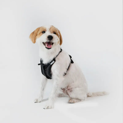 Ultra Explore - Harness