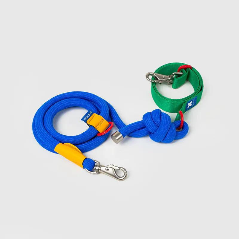 10TH YEAR - Leash