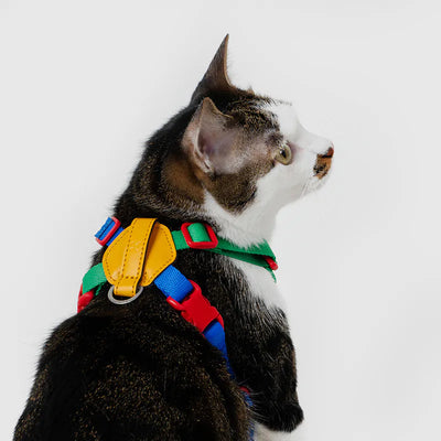 10TH YEAR - Harness