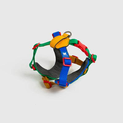 10TH YEAR - Harness