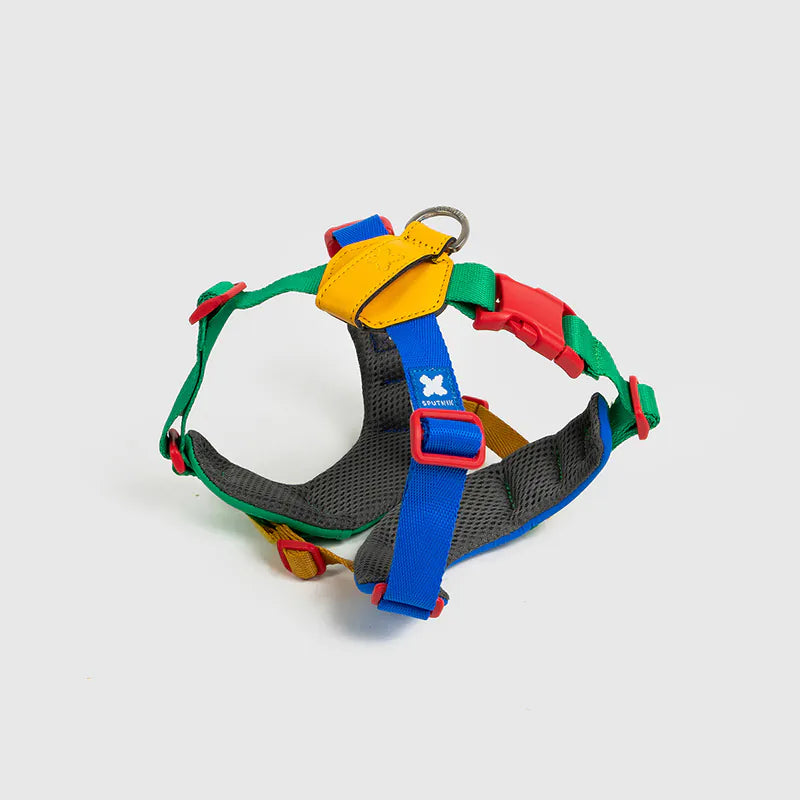 10TH YEAR - Harness