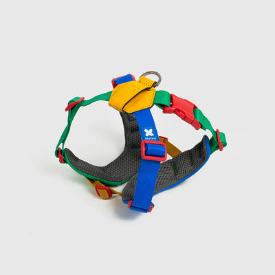 10TH YEAR - Harness
