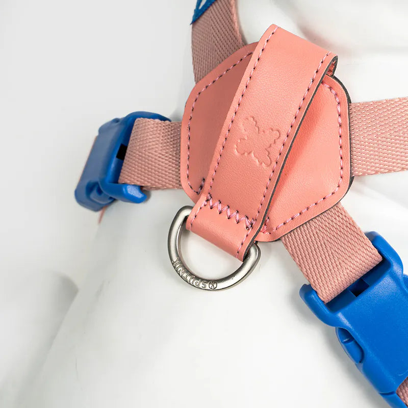 10TH YEAR - Harness