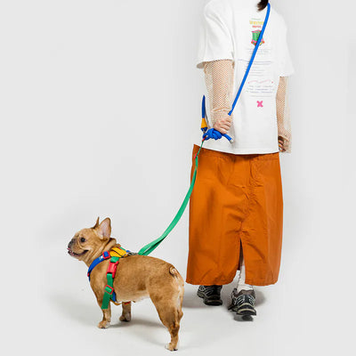 10TH YEAR - Leash