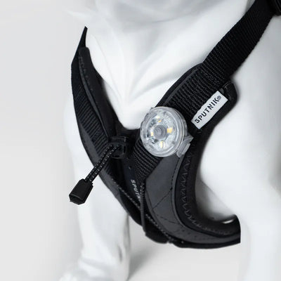 Ultra Explore - Harness